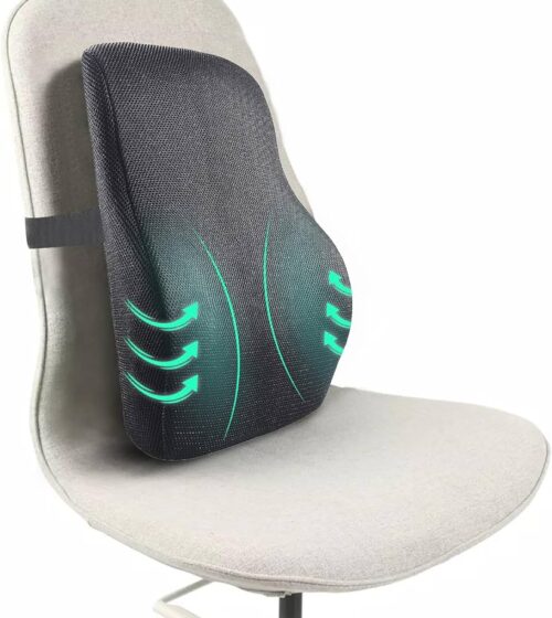 Why Lumbar Support Is Essential for a Healthy Back