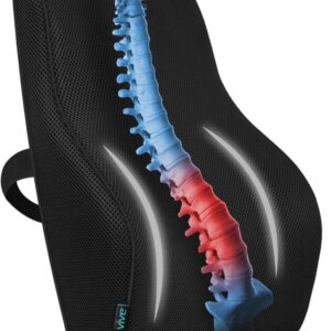Back support Cushion